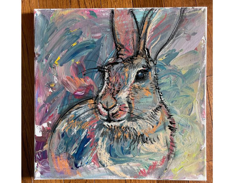 Little Rabbit by Laura Starzec