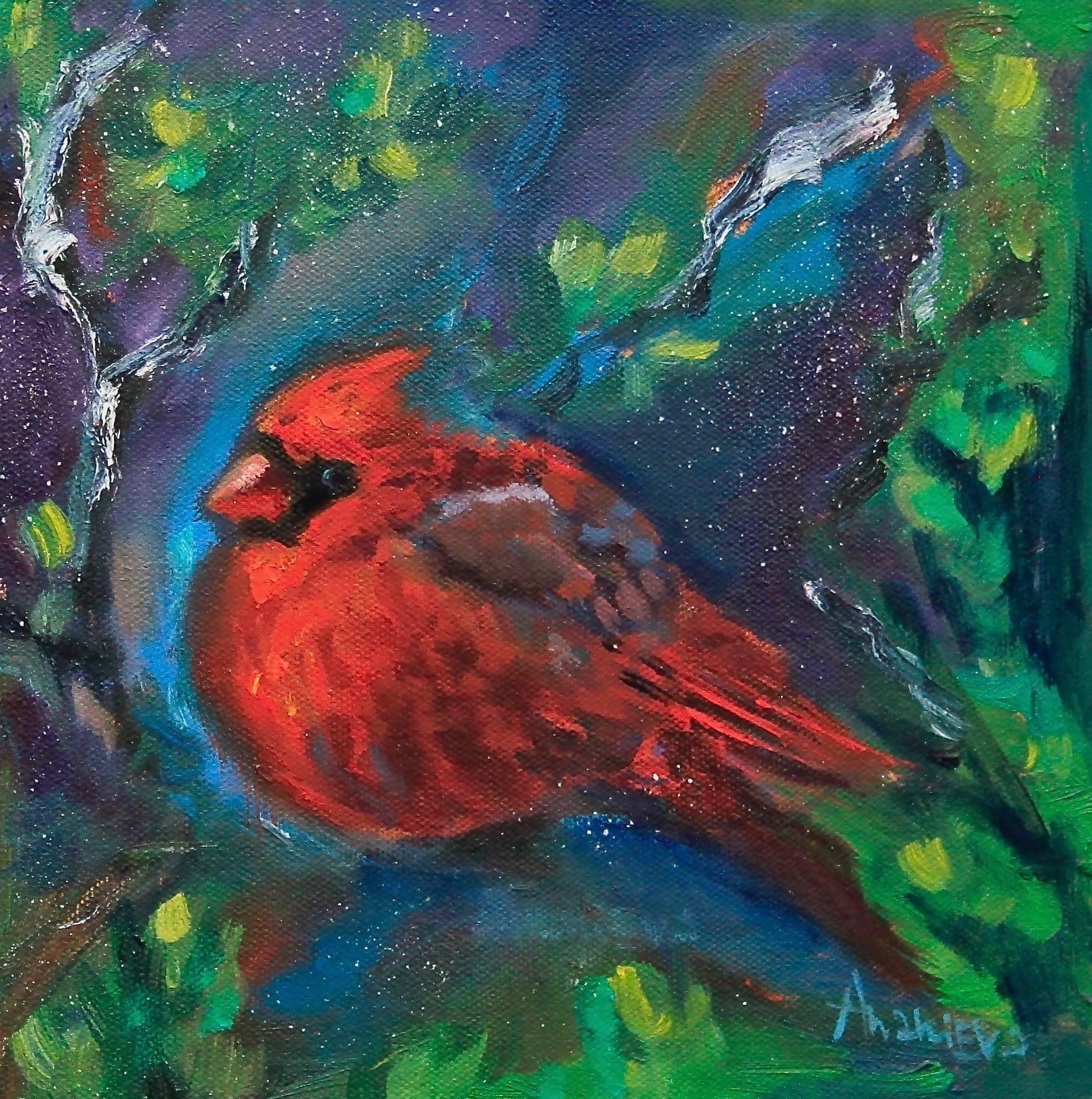 Male Cardinal by Maria Ananieva