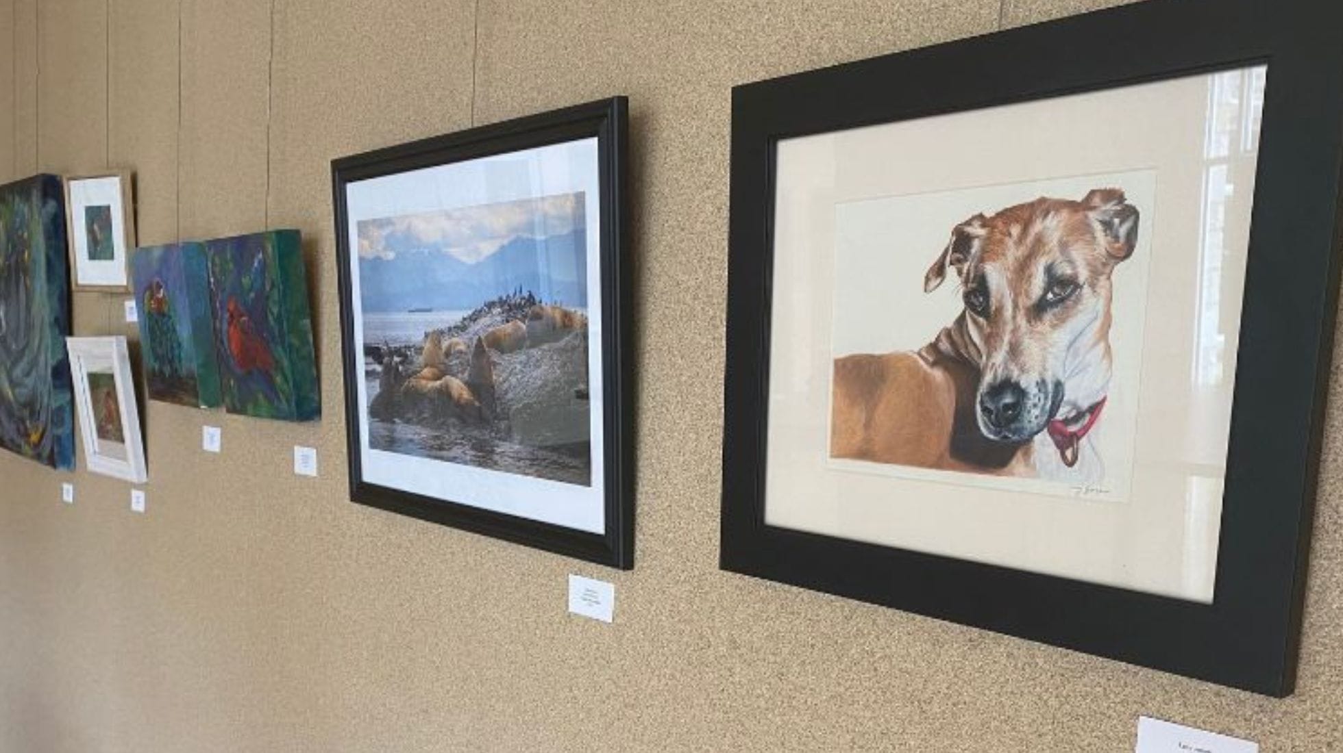 All Creatures Gallery