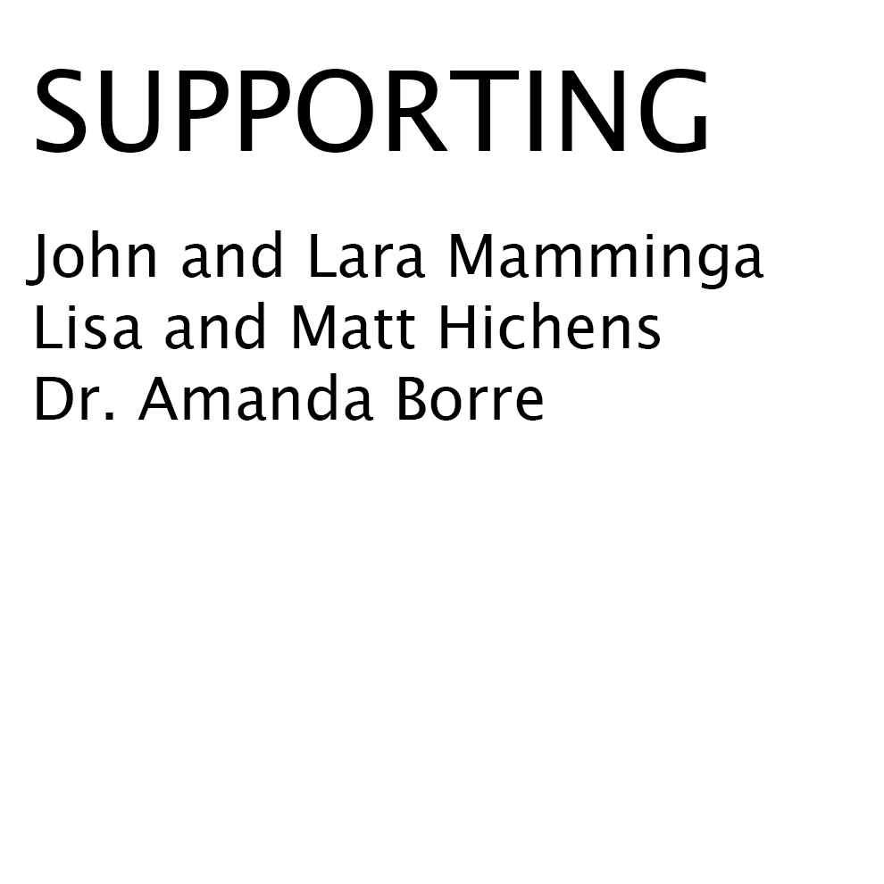 supporting stage